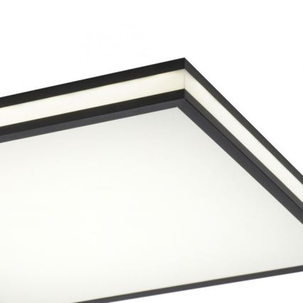 JUST LIGHT. 14110-18 - LED RGBW Ściemnialny plafon MARIO BLACK LED/19,5W/230V 2700-5000K + Pilot zdalnego sterowania