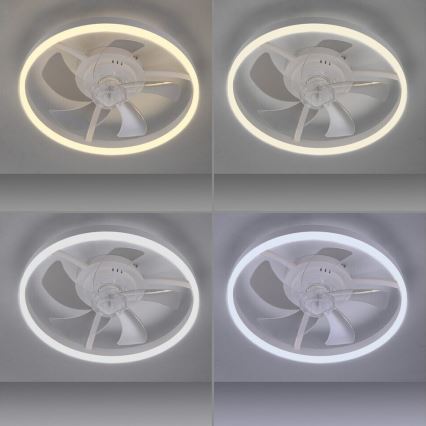 JUST LIGHT. 14624-16 - LED ściemnialny wentylator sufitowy z oświetleniem RITA LED/22W/230V 3000-6000K śr. 50 cm biały + zdalne sterowanie