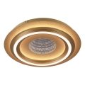 JUST LIGHT. 15089-60 - Lampa sufitowa LED CICHIO LED/36W/230V, średnica 40 cm, złota