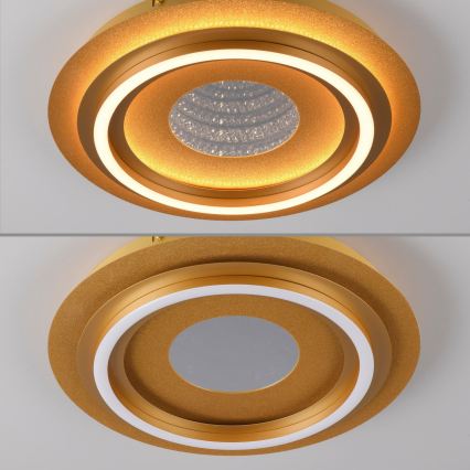 JUST LIGHT. 15089-60 - Lampa sufitowa LED CICHIO LED/36W/230V, średnica 40 cm, złota
