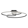 JUST LIGHT. 15321-18 - LED Plafon LUMACA LED/33W/230V czarny