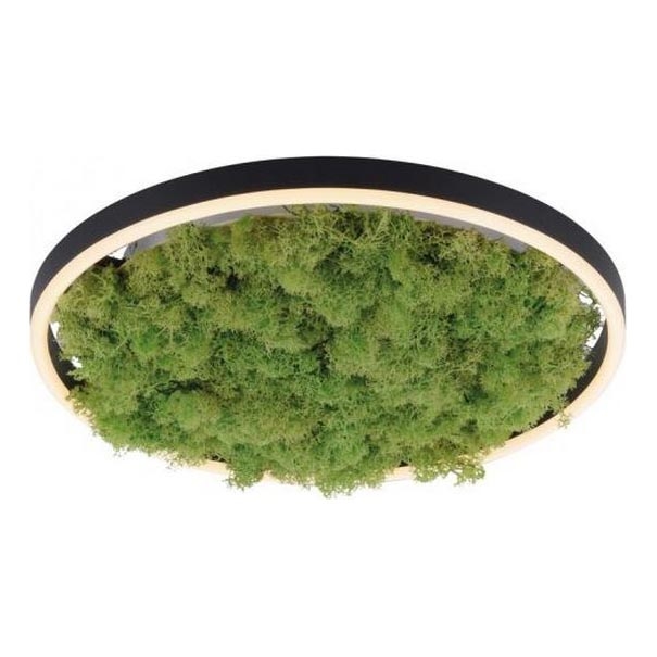 JUST LIGHT. 15391-66 - LED Plafon ściemnialny ZIELONY RITU LED/20W/230V