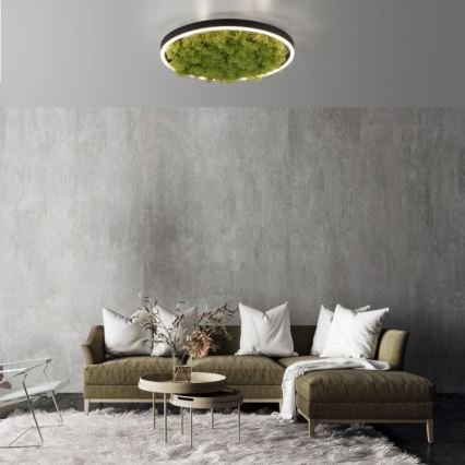 JUST LIGHT. 15391-66 - LED Plafon ściemnialny ZIELONY RITU LED/20W/230V