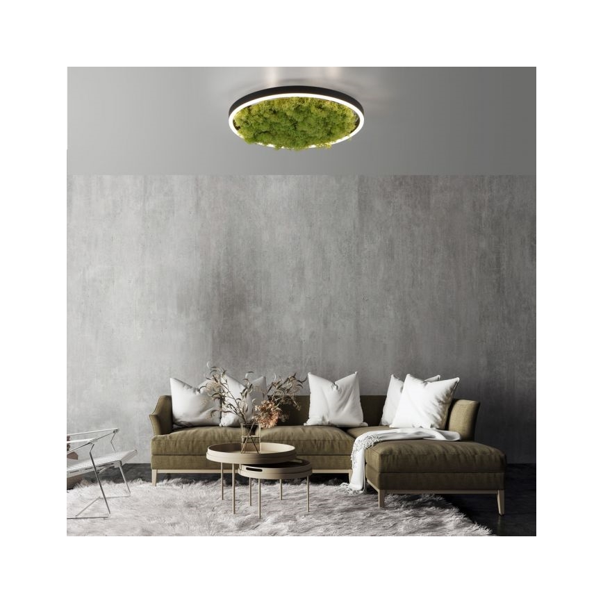 JUST LIGHT. 15391-66 - LED Plafon ściemnialny ZIELONY RITU LED/20W/230V
