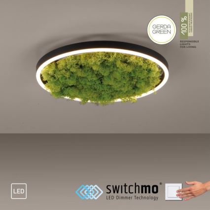 JUST LIGHT. 15391-66 - LED Plafon ściemnialny ZIELONY RITU LED/20W/230V