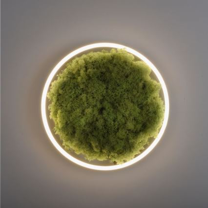 JUST LIGHT. 15391-66 - LED Plafon ściemnialny ZIELONY RITU LED/20W/230V
