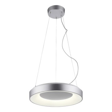 JUST LIGHT. 17075-21 - LED Żyrandol ściemnialny na lince KETO ANIKA LED/26,5W/230V 2700-5000K + zdalne sterowanie