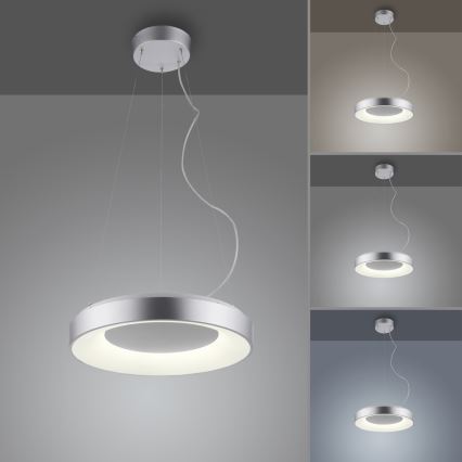 JUST LIGHT. 17075-21 - LED Żyrandol ściemnialny na lince KETO ANIKA LED/26,5W/230V 2700-5000K + zdalne sterowanie