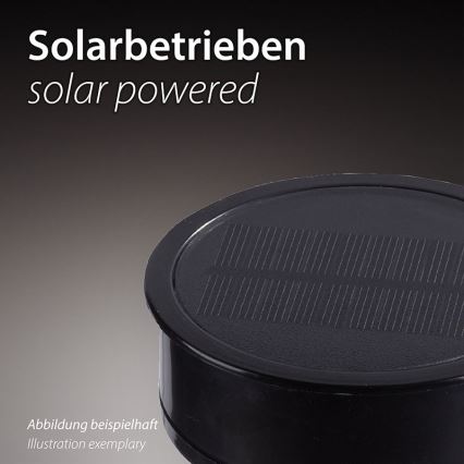JUST LIGHT. 19106-18-3 - ZESTAW 3x LED Oświetlenie solarne FACKEL LED/0,24W/3,7V IP44 czarny