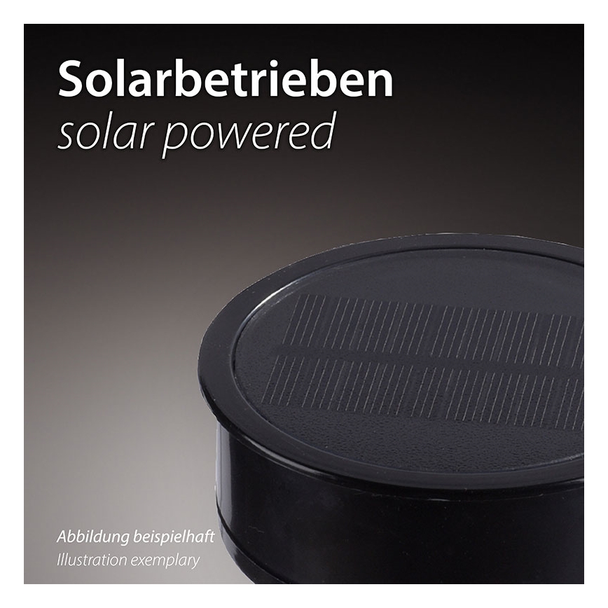 JUST LIGHT. 19106-18-3 - ZESTAW 3x LED Oświetlenie solarne FACKEL LED/0,24W/3,7V IP44 czarny