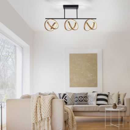 JUST LIGHT. 6245-18 - LED Ściemnialny żyrandol natynkowy LOOP 3xLED/11W/230V 2700-5000K + pilot zdalnego sterowania