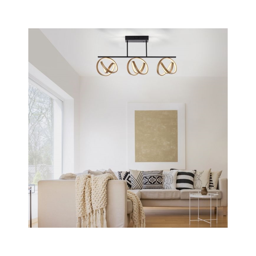 JUST LIGHT. 6245-18 - LED Ściemnialny żyrandol natynkowy LOOP 3xLED/11W/230V 2700-5000K + pilot zdalnego sterowania