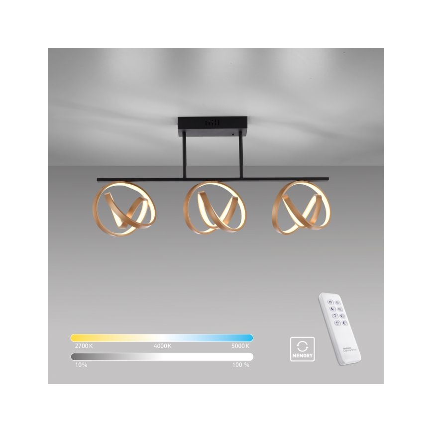 JUST LIGHT. 6245-18 - LED Ściemnialny żyrandol natynkowy LOOP 3xLED/11W/230V 2700-5000K + pilot zdalnego sterowania
