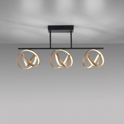 JUST LIGHT. 6245-18 - LED Ściemnialny żyrandol natynkowy LOOP 3xLED/11W/230V 2700-5000K + pilot zdalnego sterowania