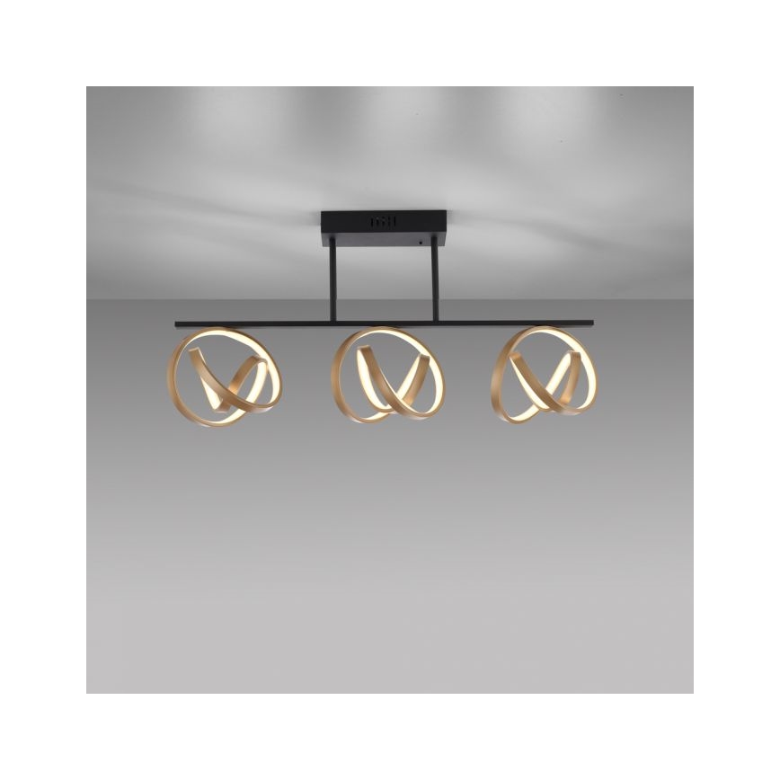JUST LIGHT. 6245-18 - LED Ściemnialny żyrandol natynkowy LOOP 3xLED/11W/230V 2700-5000K + pilot zdalnego sterowania