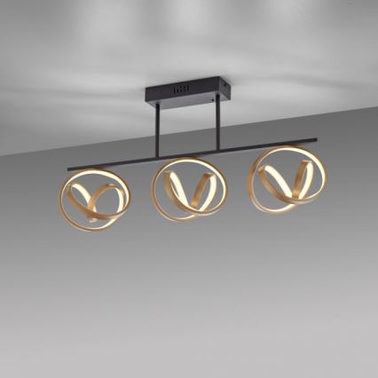JUST LIGHT. 6245-18 - LED Ściemnialny żyrandol natynkowy LOOP 3xLED/11W/230V 2700-5000K + pilot zdalnego sterowania
