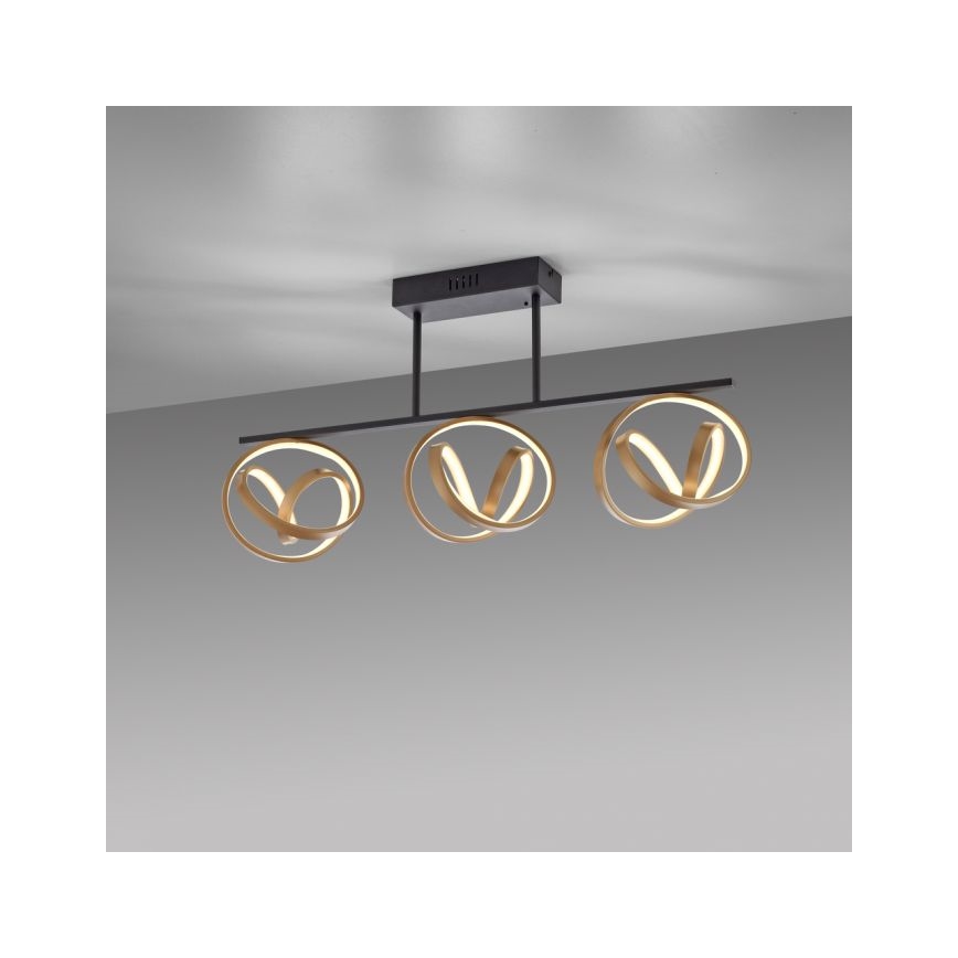 JUST LIGHT. 6245-18 - LED Ściemnialny żyrandol natynkowy LOOP 3xLED/11W/230V 2700-5000K + pilot zdalnego sterowania