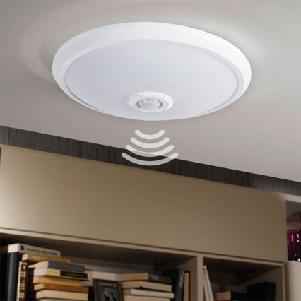 LED Oprawa z czujnikiem ruchu LED/14W/230V