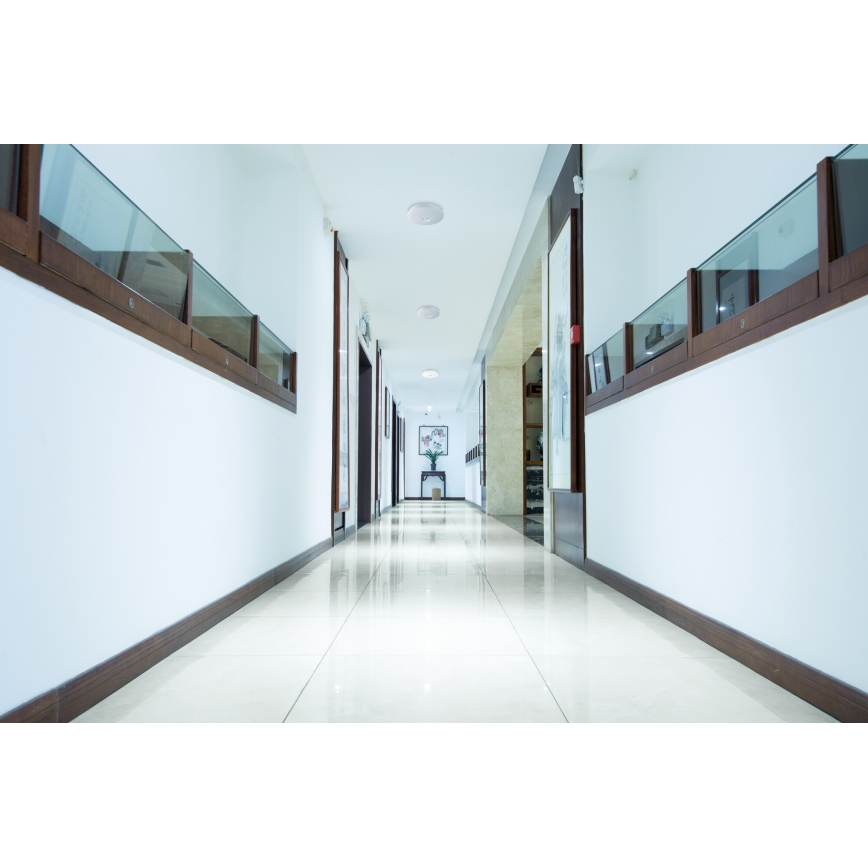 Lampa sufitowa LED z czujnikiem ruchu i zmierzchu FOGLER LED/12W/230V śr. 28 cm