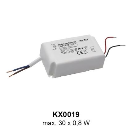 Kanlux 23100 - LED oprawa orientacyjna SOLA 1xLED/0,8W/12V