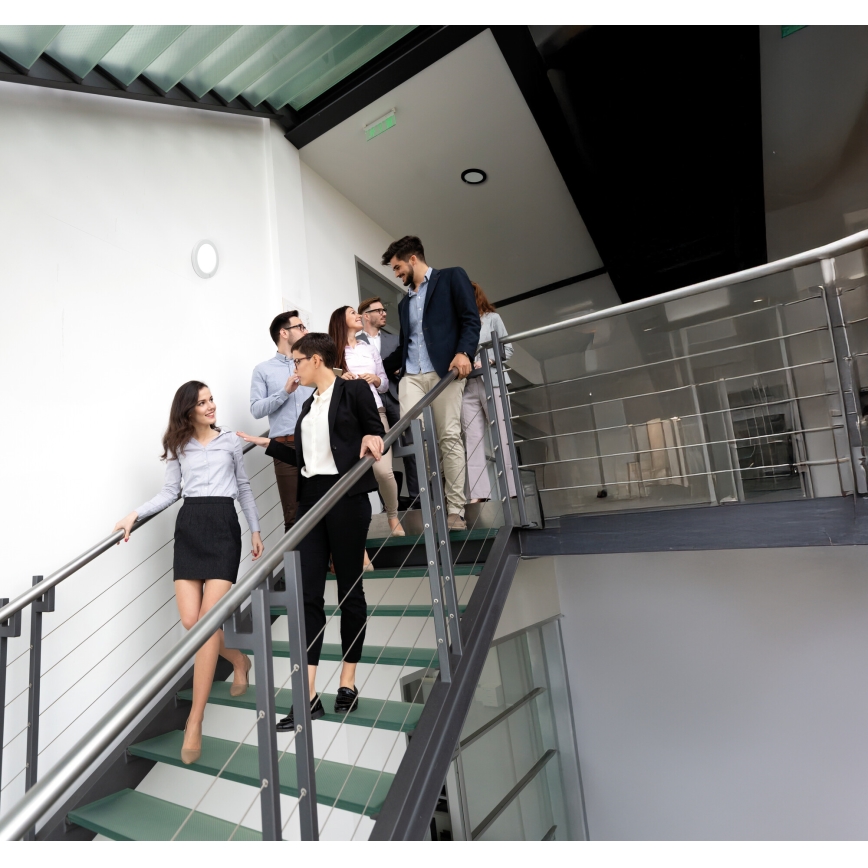 LED oprawa sufitowa/wpuszczana 2 w 1 ERGA 17W/230V 3000/4000/6500K czarna