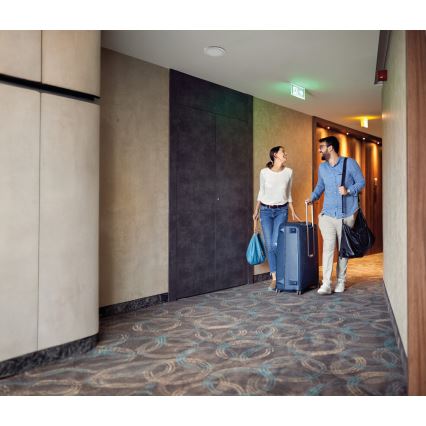 LED Oprawa sufitowa/podwieszana 2 w 1 ERGA LED/17W/230V 3000/4000/6500K biała