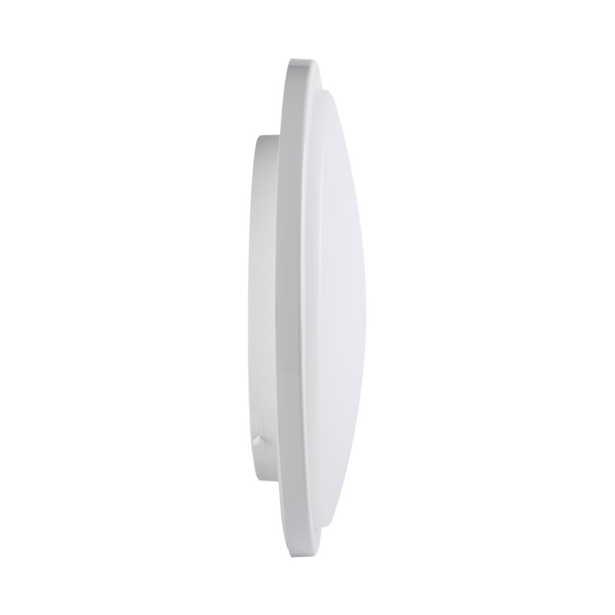 LED Plafon łazienkowy ORTE LED/24W/230V IP54