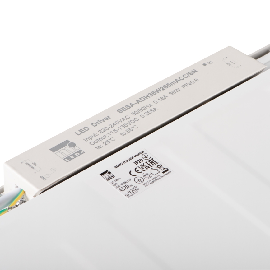 LED Panel wpuszczany BAREV ECO LED/36W/230V 4000K 60x60 cm