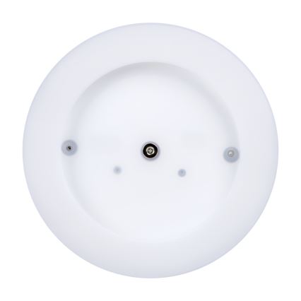 LED Plafon zewnętrzny TURA LED/24W/230V 4000K IP65 czarny