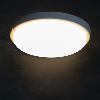 LED Plafon łazienkowy TOLU LED/18W/230V 4000K IP54 biały