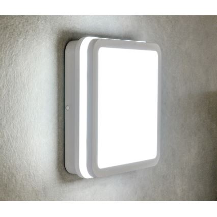 LED Plafon zewnętrzny BENO LED/24W/230V IP54 biały