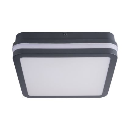 LED Oświetlenie zewnętrzne BENO LED/24W/230V IP54 antracyt