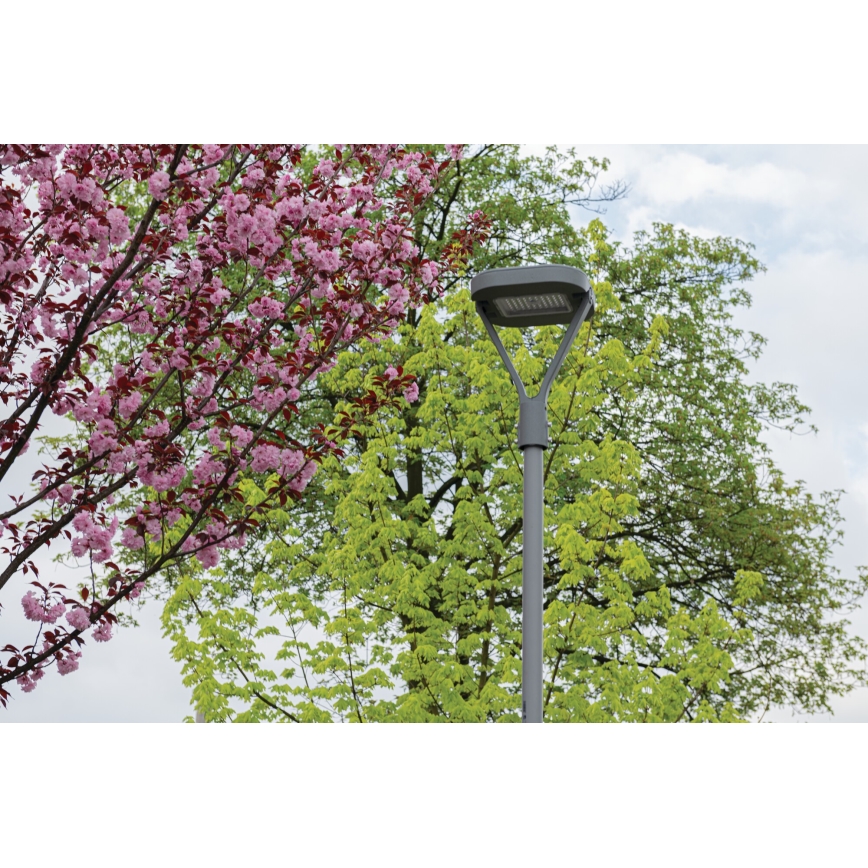 LED Lampa uliczna PARCOLI LED/30/40/50W/230V 3000/4000/6500K IP66 szary