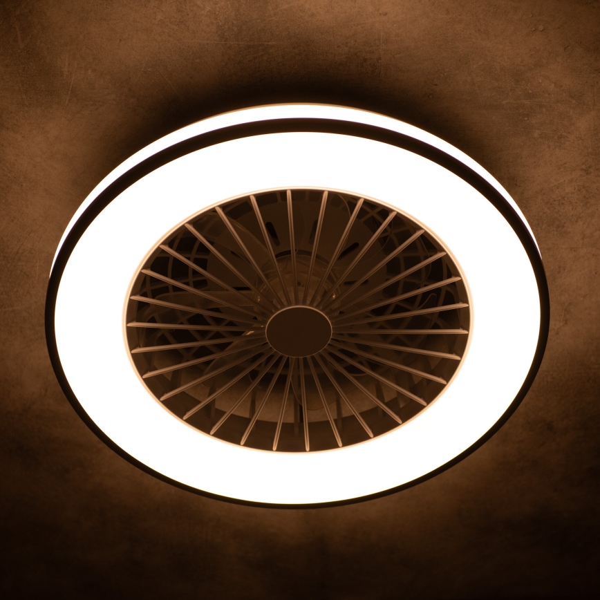 LED Ściemniany plafon z wentylatorem PLAVE LED/48W/230V 3000/4000/6500K + zdalne sterowanie