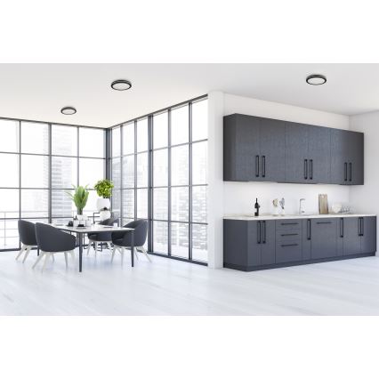 LED Plafon zewnętrzny BENO E LED/30W/230V 3000/4000/6500K śr. 30 cm IP65 czarny