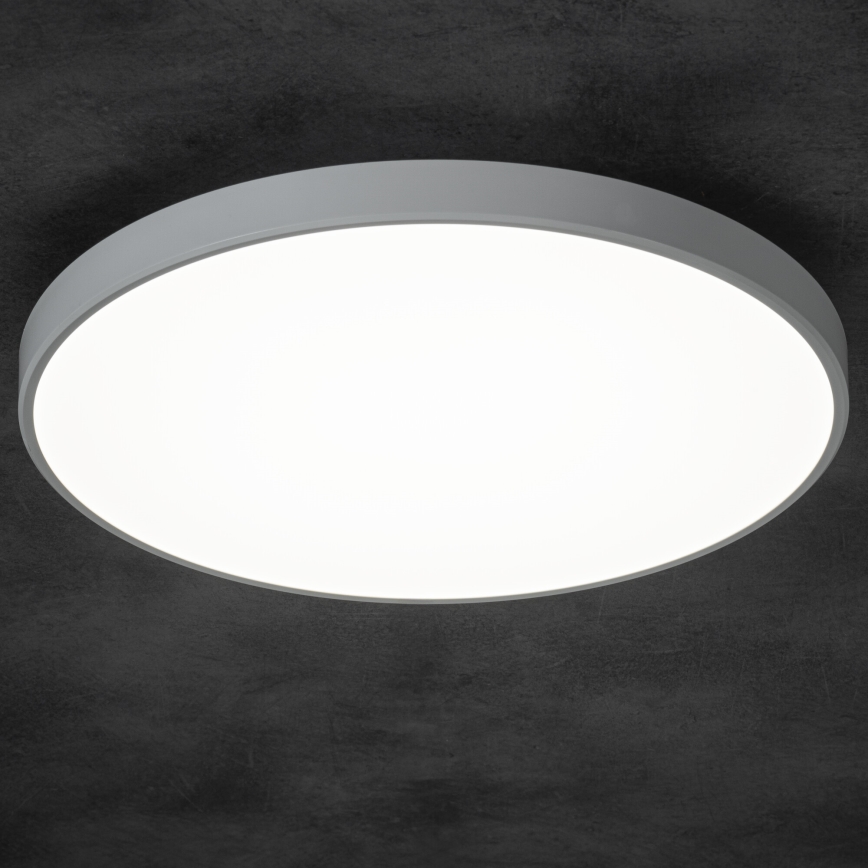 LED Plafon ściemnialny PLAFON LED/20W/230V 3000-6500K Wi-Fi biały
