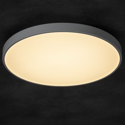 LED Plafon ściemnialny PLAFON LED/20W/230V 3000-6500K Wi-Fi biały