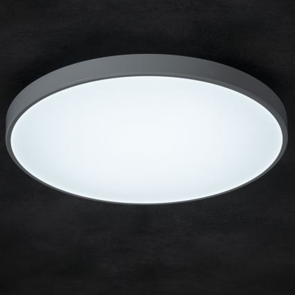 LED Plafon ściemnialny PLAFON LED/20W/230V 3000-6500K Wi-Fi biały
