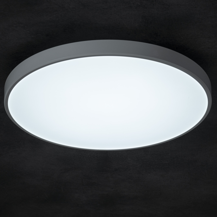 LED Plafon ściemnialny PLAFON LED/20W/230V 3000-6500K Wi-Fi biały