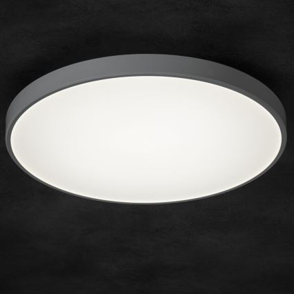 LED Plafon ściemnialny PLAFON LED/20W/230V 3000-6500K Wi-Fi biały