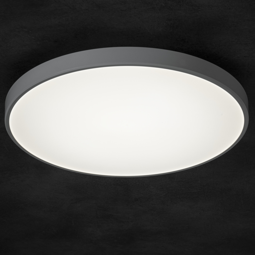 LED Plafon ściemnialny PLAFON LED/20W/230V 3000-6500K Wi-Fi biały