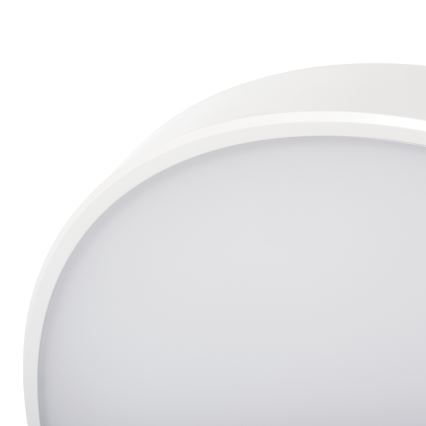 LED Plafon ściemnialny PLAFON LED/20W/230V 3000-6500K Wi-Fi biały