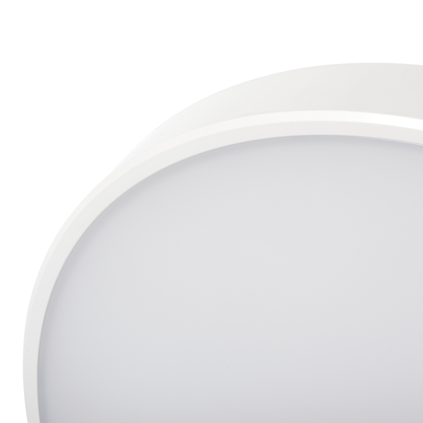 LED Plafon ściemnialny PLAFON LED/20W/230V 3000-6500K Wi-Fi biały
