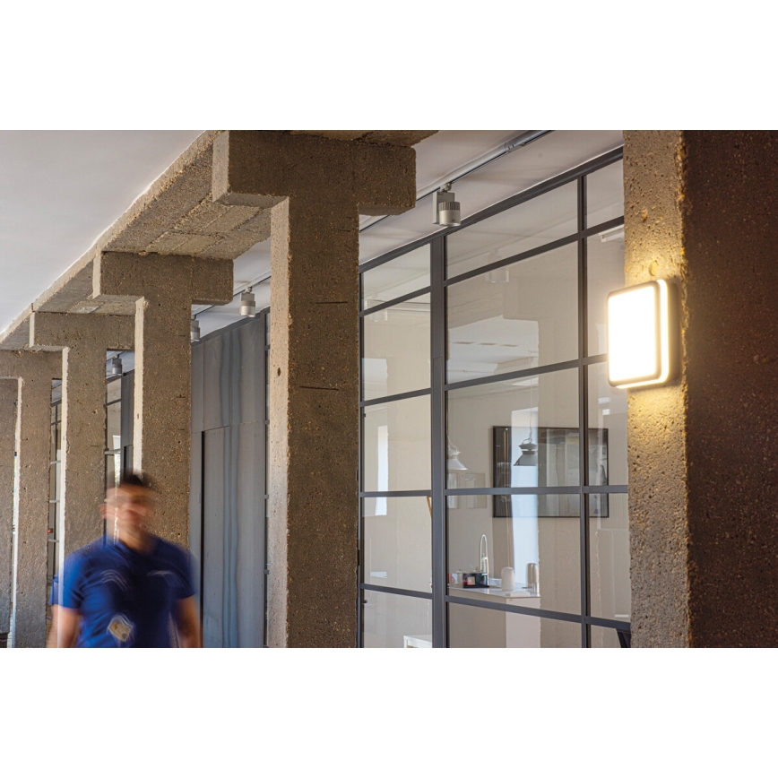 LED Plafon zewnętrzny BENO LED/24/30W/230V 3000/3500/4000K IP65 antracyt kanciasty