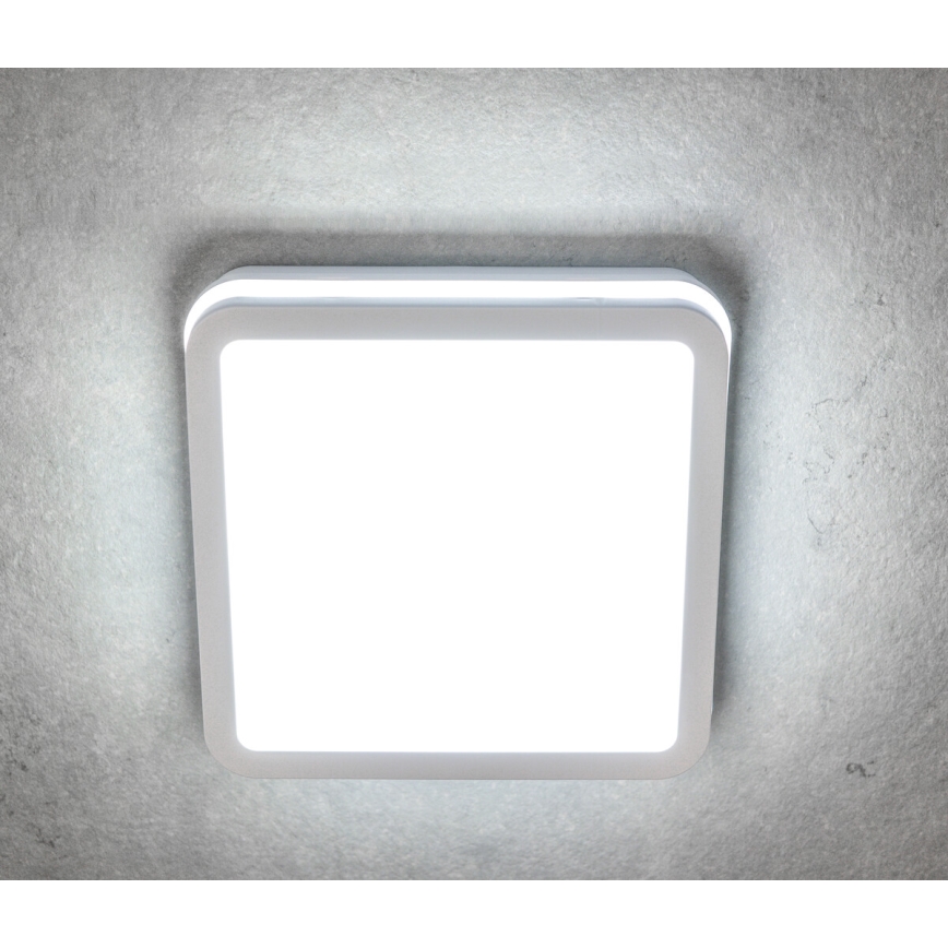 LED Plafon zewnętrzny z czujnikiem ruchu BENO LED/24/30W/230V 3000/3500/4000K IP65 biały kanciasty