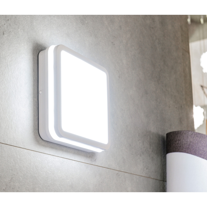 LED Plafon zewnętrzny z czujnikiem ruchu BENO LED/24/30W/230V 3000/3500/4000K IP65 biały kanciasty
