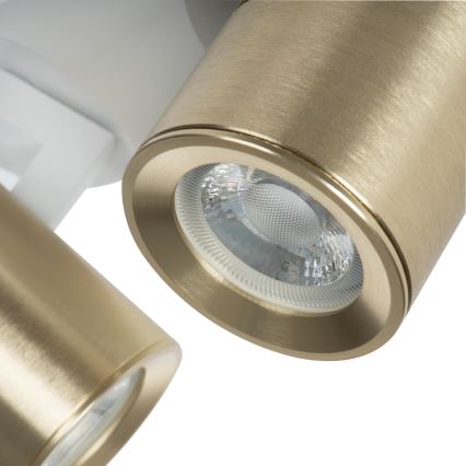Oświetlenie punktowe LAURIN 2xGU10/10W/230V mosiądz/biały