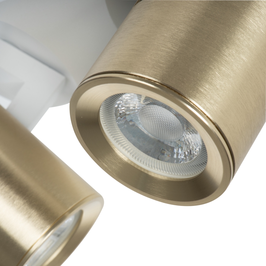 Oświetlenie punktowe LAURIN 2xGU10/10W/230V mosiądz/biały