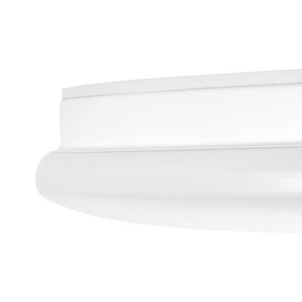 Oprawa sufitowa łazienkowa ENELO LED/10W/230V śr. 24 cm IP44