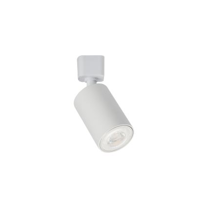 Oprawa punktowa do systemu szynowego ALTEAR 2xGU10/10W/230V 1m biała